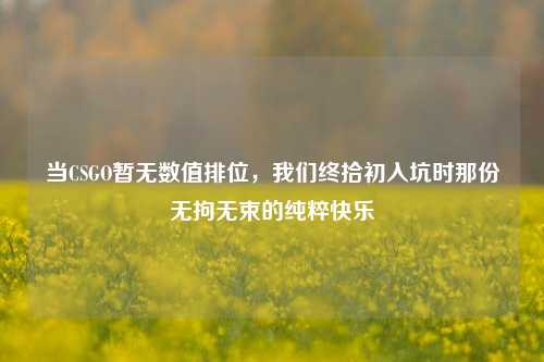 当CSGO暂无数值排位，我们终拾初入坑时那份无拘无束的纯粹快乐