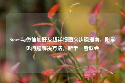 Steam与微信加好友超详细图文步骤指南，附常见问题解决方法，新手一看就会