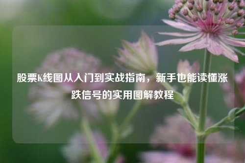 股票K线图从入门到实战指南,新手也能读懂涨跌信号的实用图解教程