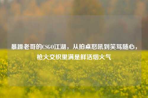 暴躁老哥的CSGO江湖，从拍桌怒吼到笑骂随心，枪火交织里满是鲜活烟火气