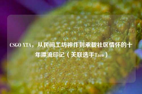 CSGO XTA，从民间工坊神作到承载社区情怀的十年漂流印记（关联选手Taco）