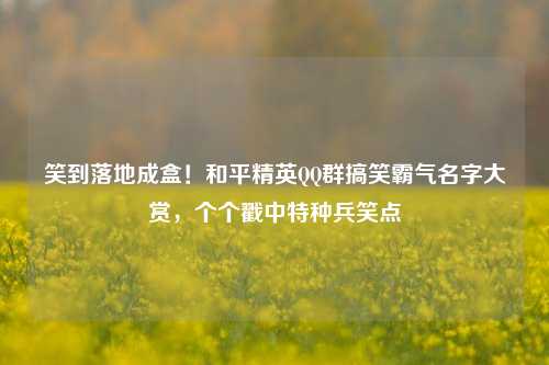笑到落地成盒!和平精英QQ群搞笑霸气名字大赏,个个戳中特种兵笑点