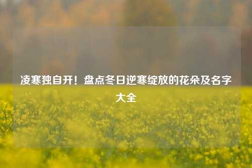 凌寒独自开！盘点冬日逆寒绽放的花朵及名字大全