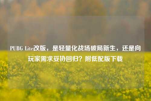 PUBG Lite改版,是轻量化战场破局新生,还是向玩家需求妥协回归?附低配版下载