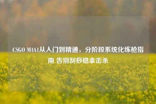 CSGO M4A1从入门到精通,分阶段系统化练枪指南 告别刮痧稳拿击杀