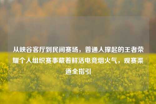 从峡谷客厅到民间赛场,普通人撑起的王者荣耀个人组织赛事藏着鲜活电竞烟火气,观赛渠道全指引