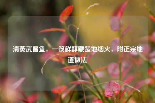 清蒸武昌鱼，一筷鲜醇藏楚地烟火，附正宗地道做法