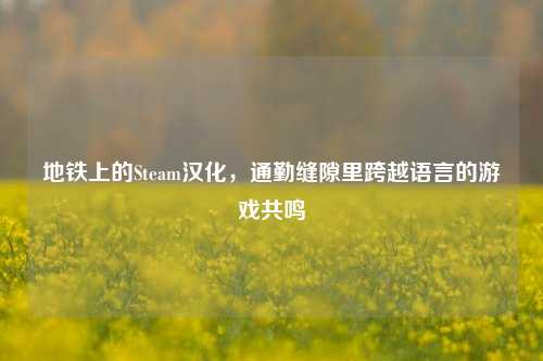 地铁上的Steam汉化,通勤缝隙里跨越语言的游戏共鸣