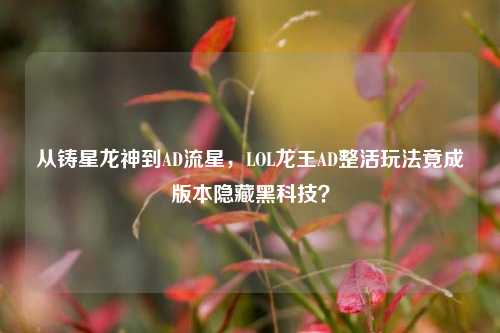 从铸星龙神到AD流星，LOL龙王AD整活玩法竟成版本隐藏黑科技？