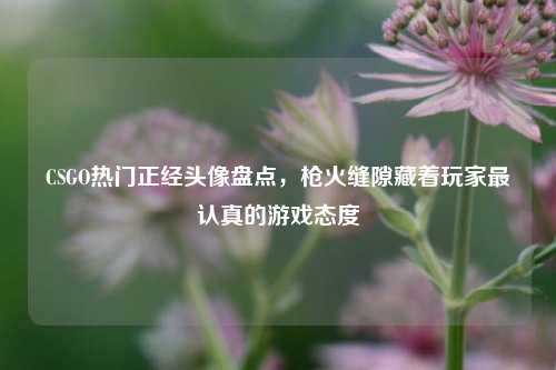 CSGO热门正经头像盘点，枪火缝隙藏着玩家最认真的游戏态度