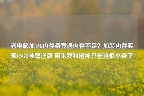 老电脑加16G内存条竟遇内存不足？加装内存实现CSGO帧率逆袭 原来我和枪神只差这根小条子