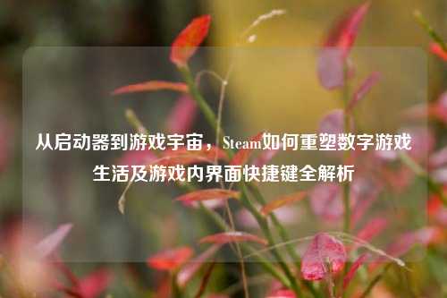 从启动器到游戏宇宙，Steam如何重塑数字游戏生活及游戏内界面快捷键全解析