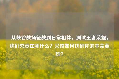 从峡谷战场征战到日常相伴，测试王者荣耀，我们究竟在测什么？又该如何找到你的本命英雄？