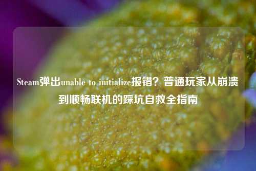Steam弹出unable to initialize报错？普通玩家从崩溃到顺畅联机的踩坑自救全指南