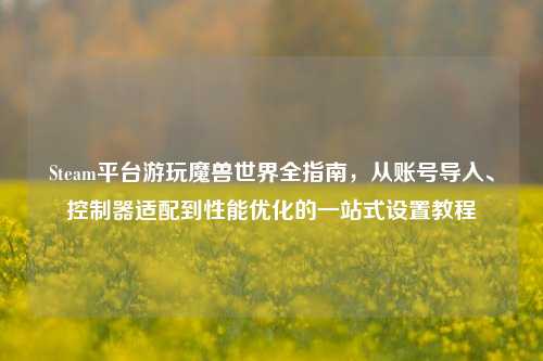 Steam平台游玩魔兽世界全指南,从账号导入、控制器适配到性能优化的一站式设置教程