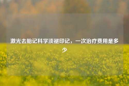 激光去胎记科学淡褪印记，一次治疗费用是多少