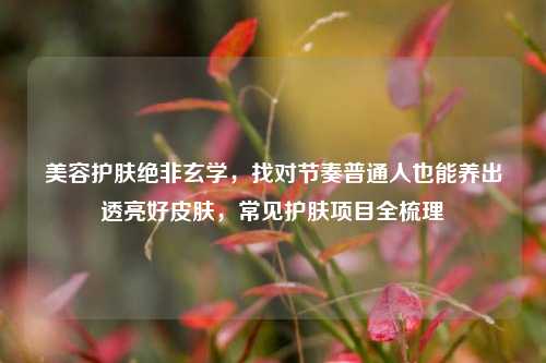 美容护肤绝非玄学，找对节奏普通人也能养出透亮好皮肤，常见护肤项目全梳理