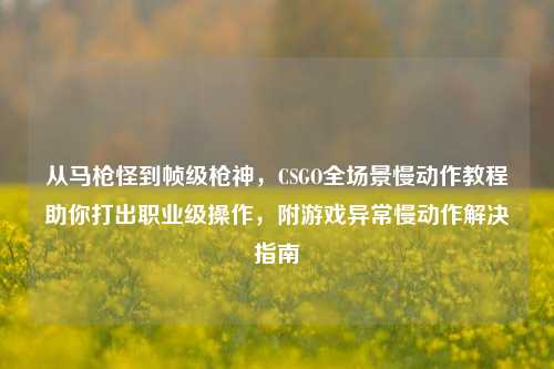 从马枪怪到帧级枪神，CSGO全场景慢动作教程助你打出职业级操作，附游戏异常慢动作解决指南