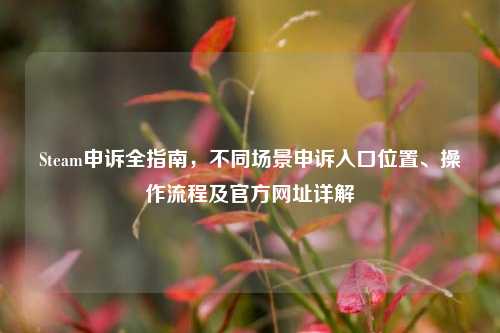 Steam申诉全指南,不同场景申诉入口位置、操作流程及官方网址详解