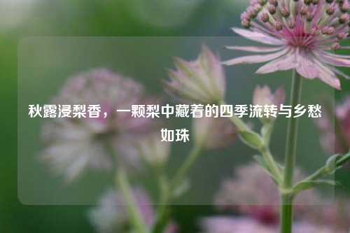 秋露浸梨香，一颗梨中藏着的四季流转与乡愁如珠