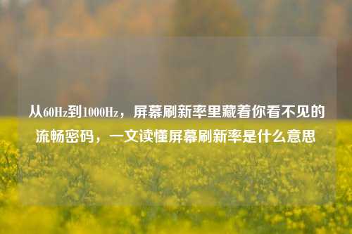 从60Hz到1000Hz,屏幕刷新率里藏着你看不见的流畅密码,一文读懂屏幕刷新率是什么意思