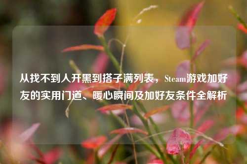 从找不到人开黑到搭子满列表，Steam游戏加好友的实用门道、暖心瞬间及加好友条件全解析