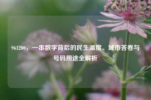 961200，一串数字背后的民生温度、城市答卷与号码用途全解析