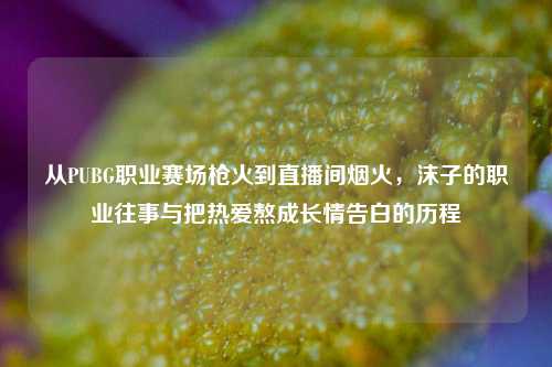 从PUBG职业赛场枪火到直播间烟火，沫子的职业往事与把热爱熬成长情告白的历程
