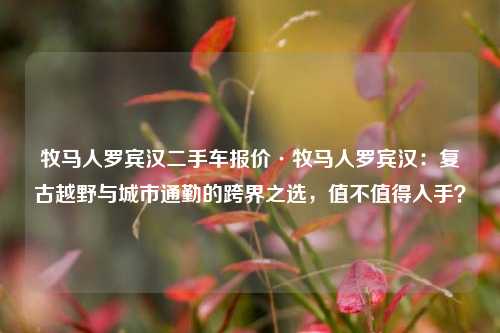 牧马人罗宾汉二手车报价·牧马人罗宾汉:复古越野与城市通勤的跨界之选,值不值得入手?