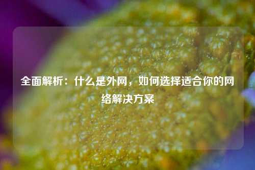 全面解析:什么是外网,如何选择适合你的网络解决方案