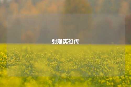 射雕英雄传