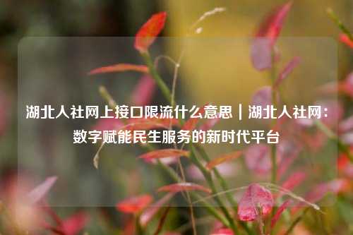 湖北人社网上接口限流什么意思|湖北人社网:数字赋能民生服务的新时代平台