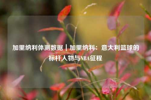 加里纳利体测数据｜加里纳利：意大利篮球的标杆人物与NBA征程