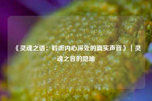 《灵魂之语：聆听内心深处的真实声音》｜灵魂之音的隐喻