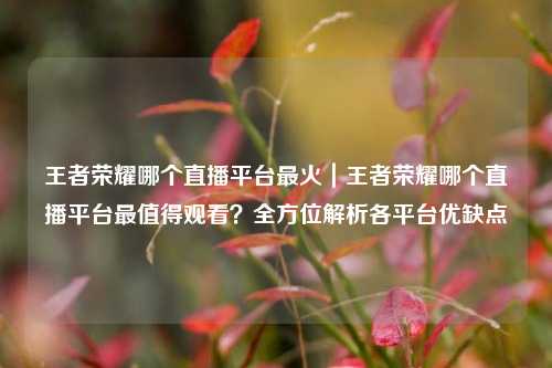 王者荣耀哪个直播平台最火｜王者荣耀哪个直播平台最值得观看？全方位解析各平台优缺点