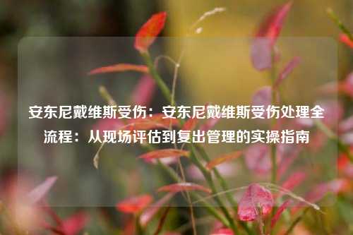 安东尼戴维斯受伤：安东尼戴维斯受伤处理全流程：从现场评估到复出管理的实操指南